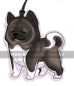 Preview: American Akita (Grey)